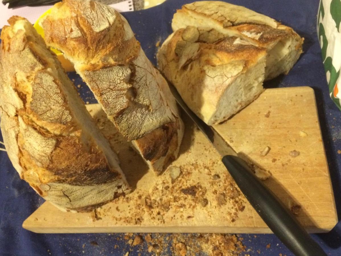 Bed and Breakfast Il Gelsomino Frasso Sabino Esterno foto