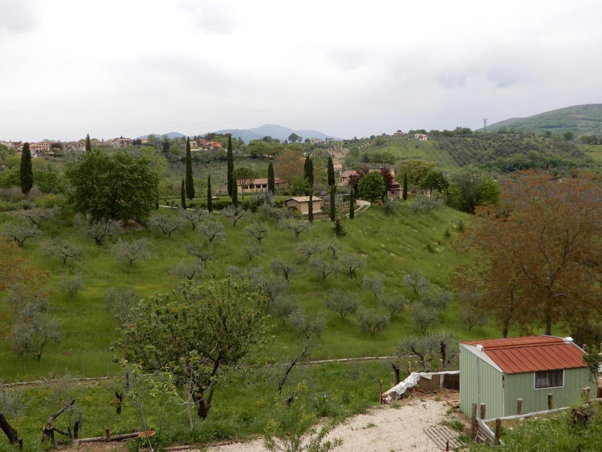 Bed and Breakfast Il Gelsomino Frasso Sabino Esterno foto